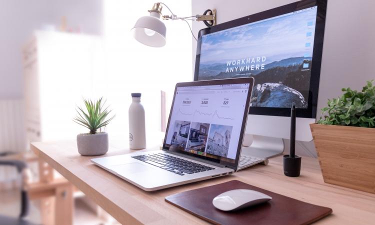 Websites Websites